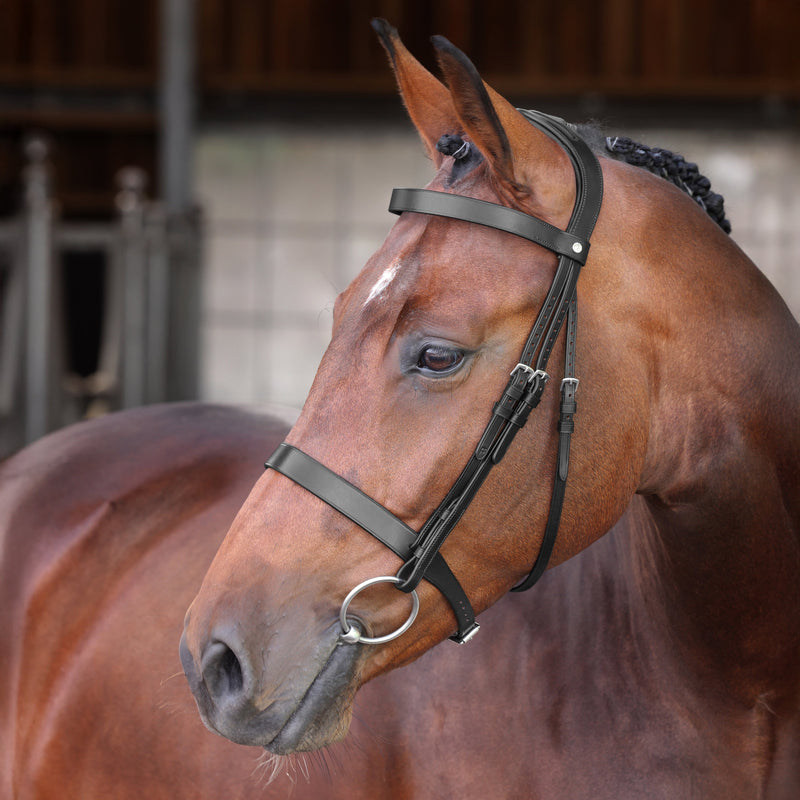 Load image into Gallery viewer, Velociti LUSSO Elite Hunter Bridle
