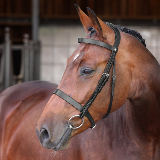 Velociti LUSSO Elite Hunter Bridle