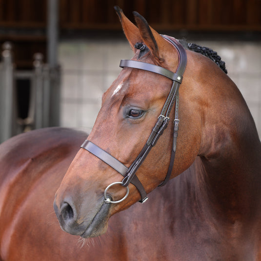 Velociti LUSSO Elite Hunter Bridle