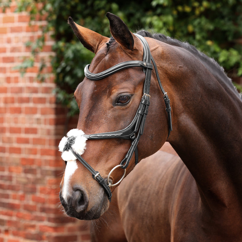 Load image into Gallery viewer, Velociti LUSSO Opus 180M Grackle Bridle
