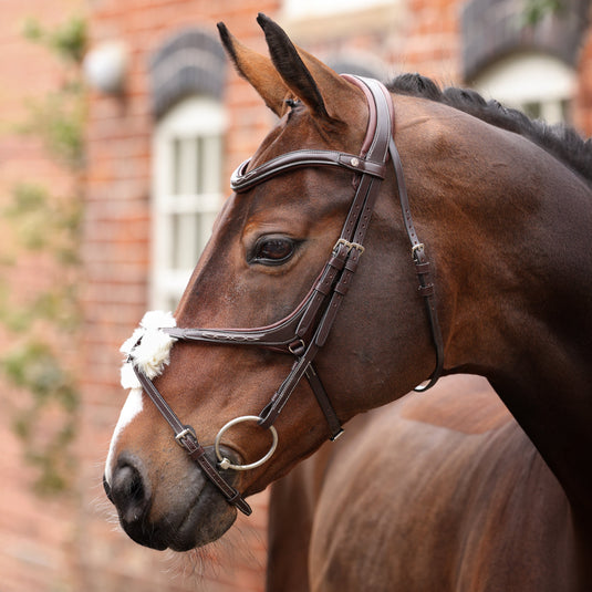 Velociti LUSSO Opus 180M Grackle Bridle