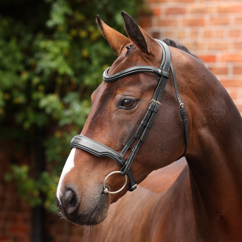 Load image into Gallery viewer, Velociti LUSSO Opus 180M Dressage Cavesson Bridle

