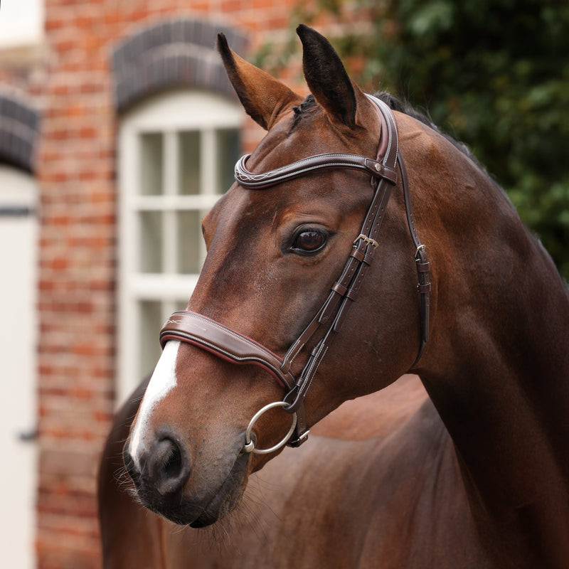 Load image into Gallery viewer, Velociti LUSSO Opus 180M Dressage Cavesson Bridle
