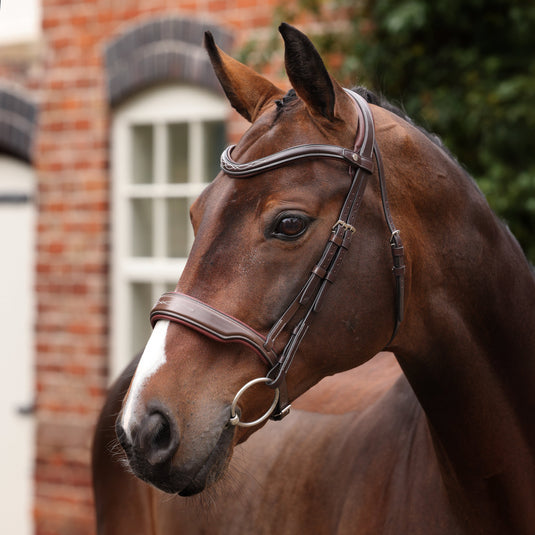 Velociti LUSSO Opus 180M Dressage Cavesson Bridle