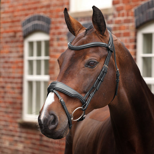 Velociti LUSSO Opus 180M Dressage Flash Bridle