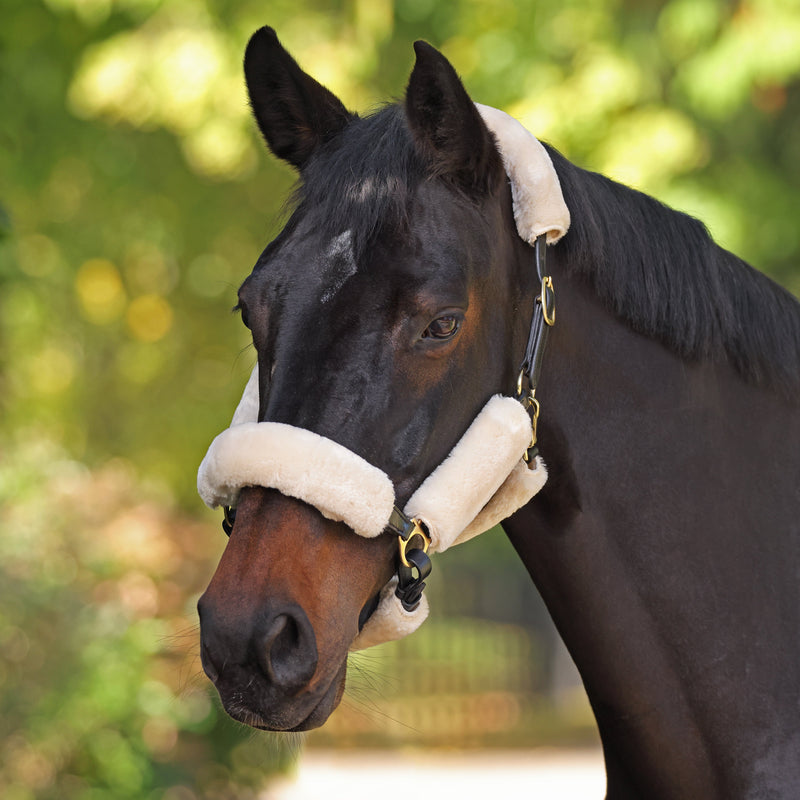 Load image into Gallery viewer, ARMA SupaFleece Halter Fleeces
