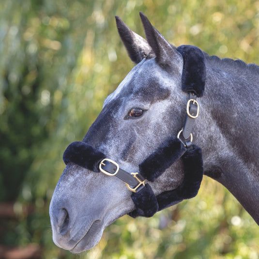 ARMA SupaFleece Halter Fleeces