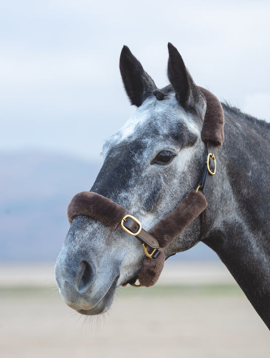 ARMA SupaFleece Halter Fleeces