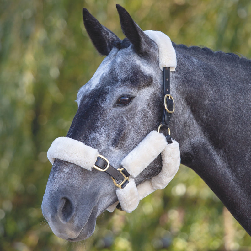 Load image into Gallery viewer, ARMA SupaFleece Halter Fleeces
