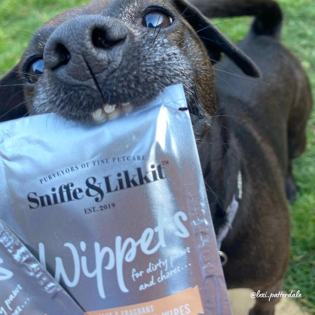 Load image into Gallery viewer, Sniffe &amp; Likkit - Whippets (Paw-Kit Cleansing Wipes)
