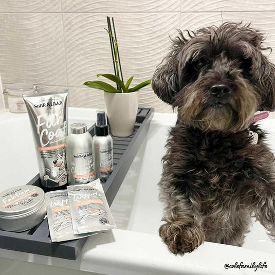 Sniffe & Likkit - Fur Coat ( 3in1 Conditioning Shampoo)