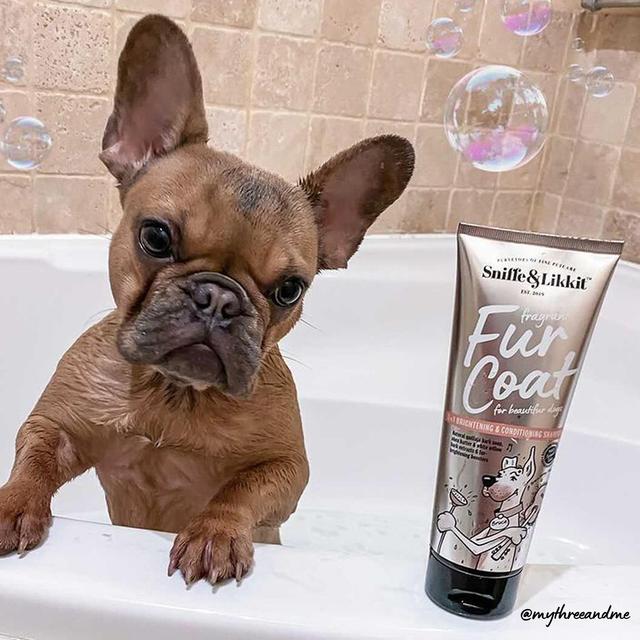 Load image into Gallery viewer, Sniffe &amp; Likkit - Fur Coat ( 3in1 Conditioning Shampoo)
