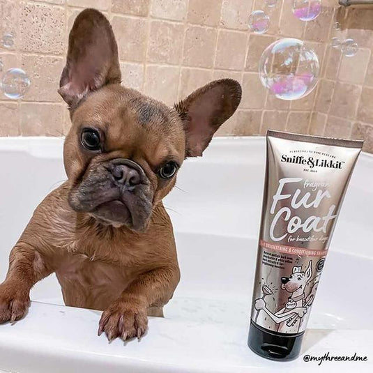 Sniffe & Likkit - Fur Coat ( 3in1 Conditioning Shampoo)