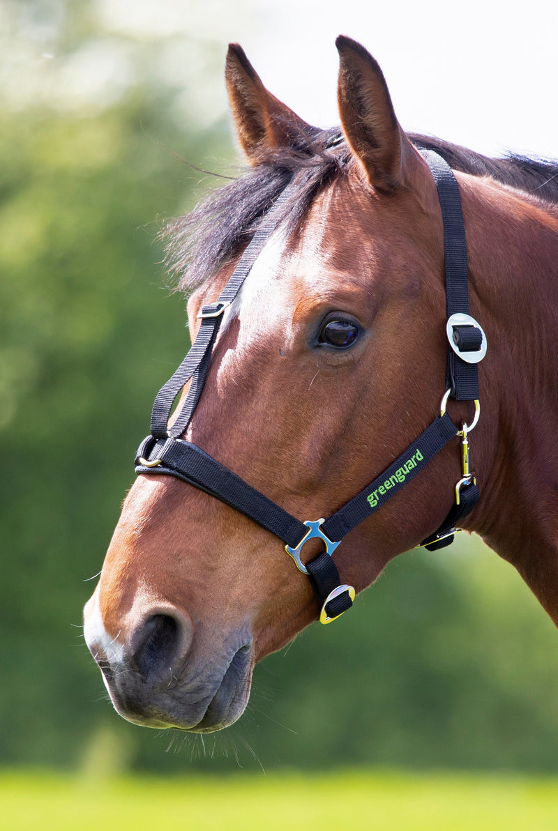 Load image into Gallery viewer, Greenguard Headcollar
