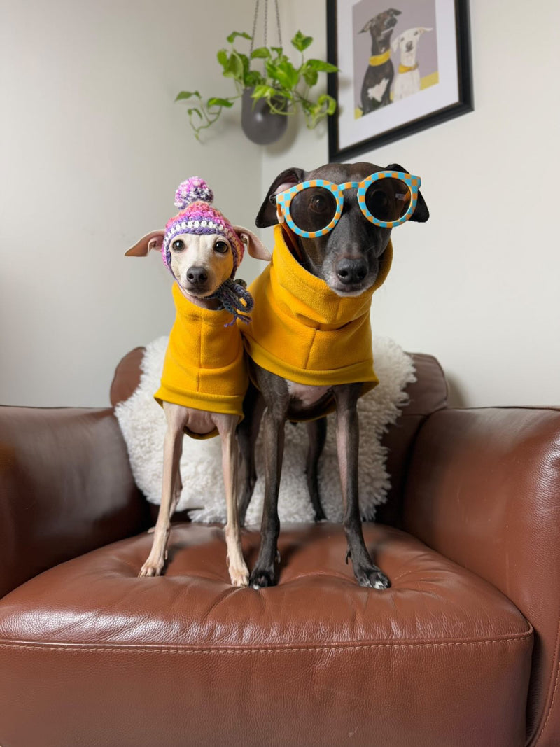 Load image into Gallery viewer, Open-Leg Fleece Vest - Yellow
