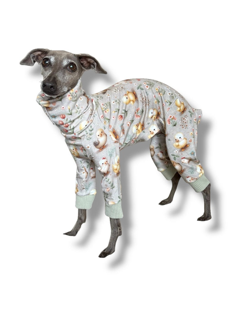 Load image into Gallery viewer, Jersey Suit - Easter Chicks Sage
