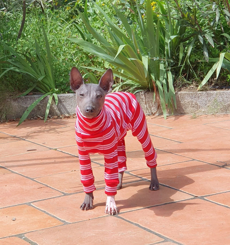 Load image into Gallery viewer, Ribbed Jersey Suit - Candy Cane
