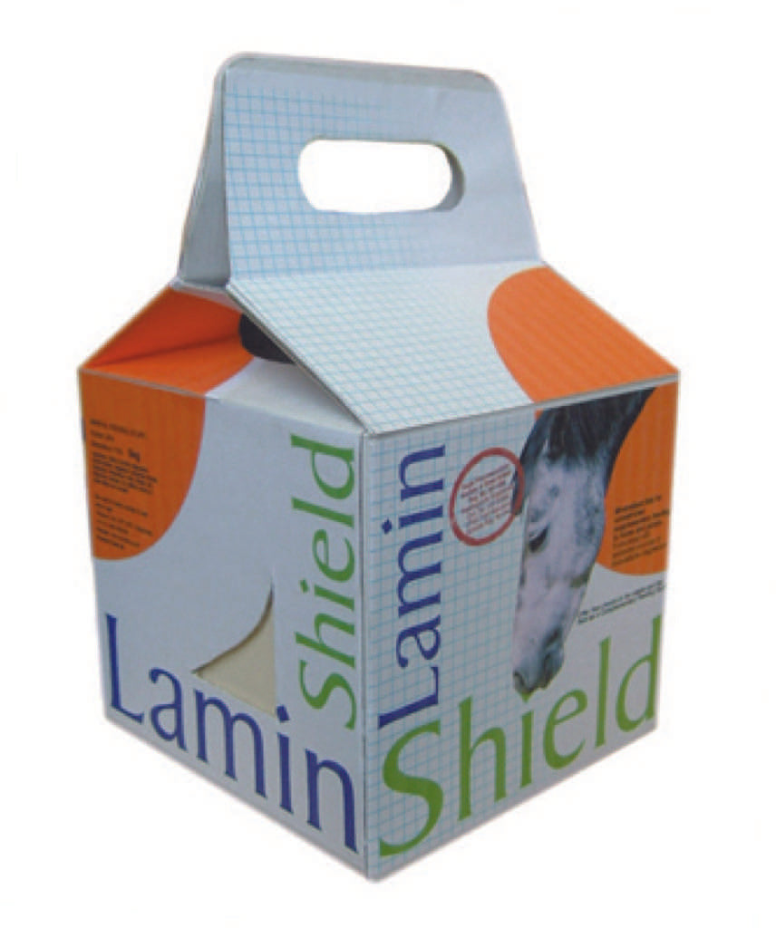 Rockies LaminShield block 5kg