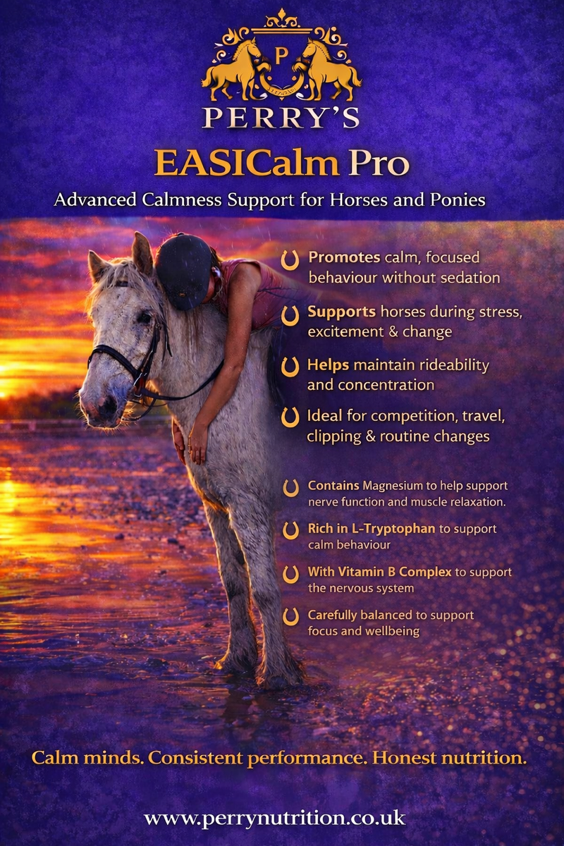 Load image into Gallery viewer, EASICalm Pro
