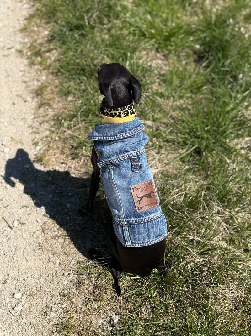 Load image into Gallery viewer, Denim Jacket - Cool Iggy Club
