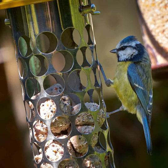 Peckish Extra Goodness Feeder