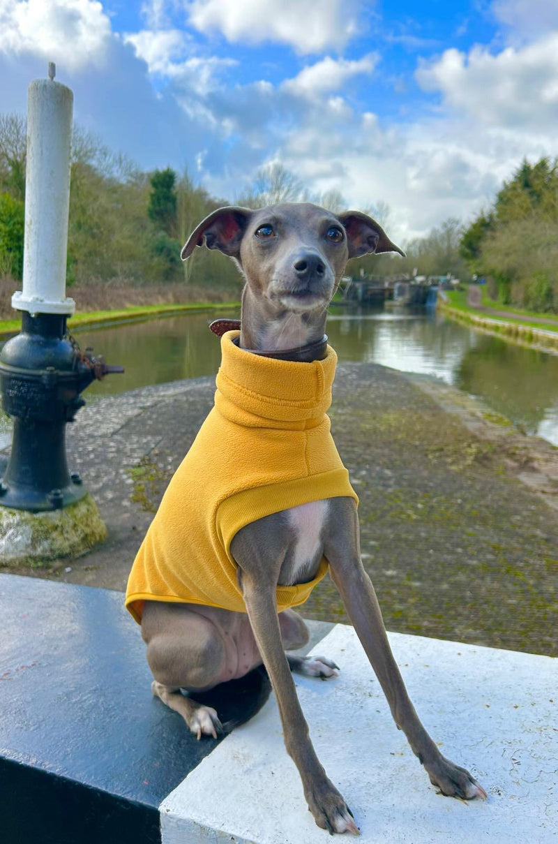 Load image into Gallery viewer, Open-Leg Fleece Vest - Yellow
