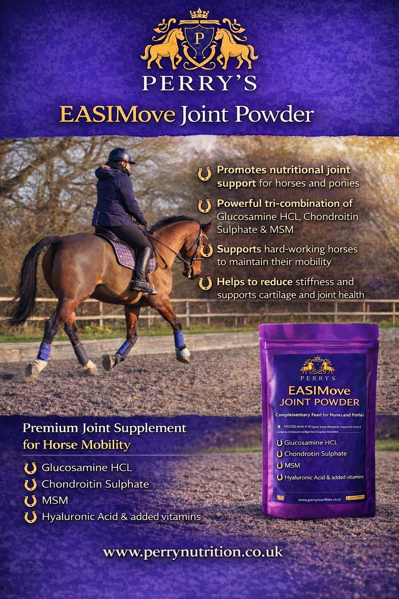 Load image into Gallery viewer, EASIMove Joint Powder
