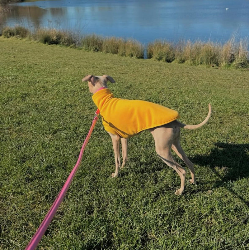 Load image into Gallery viewer, Open-Leg Fleece Vest - Yellow
