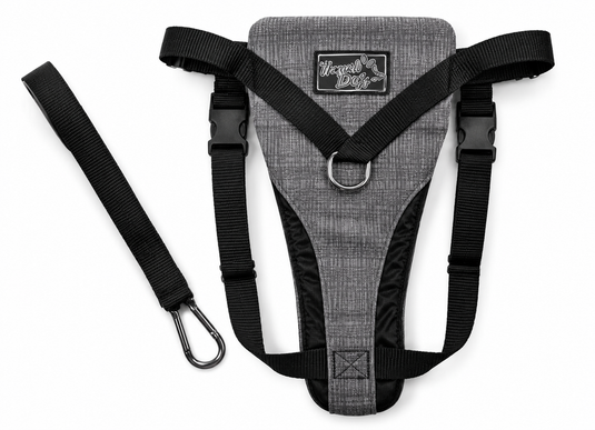 All For Paws Combo Travel Harness