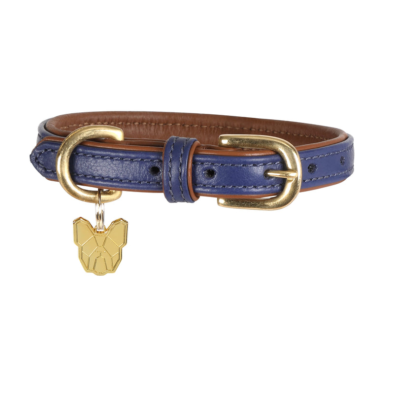 Load image into Gallery viewer, Digby &amp; Fox Padded Leather Dog Collar

