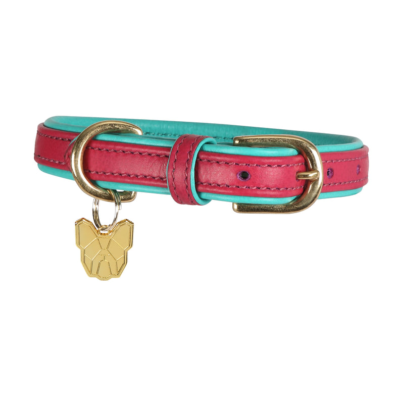 Load image into Gallery viewer, Digby &amp; Fox Padded Leather Dog Collar
