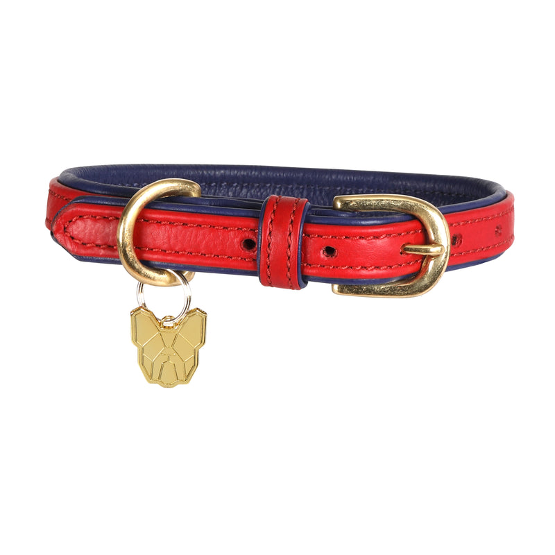 Load image into Gallery viewer, Digby &amp; Fox Padded Leather Dog Collar
