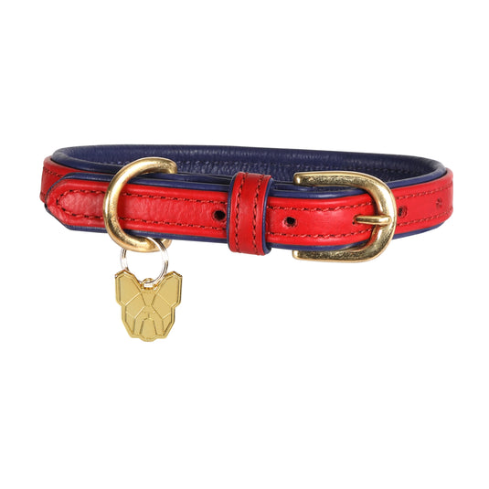 Digby & Fox Padded Leather Dog Collar