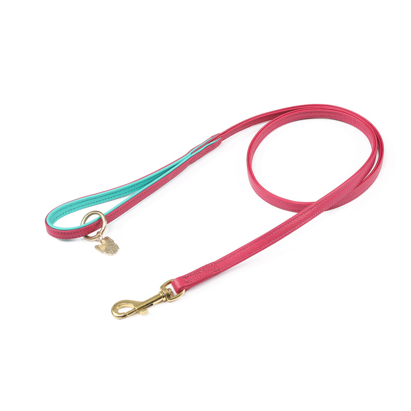 Load image into Gallery viewer, Digby &amp; Fox Padded Leather Dog Lead
