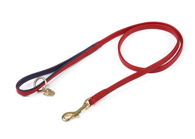 Load image into Gallery viewer, Digby &amp; Fox Padded Leather Dog Lead

