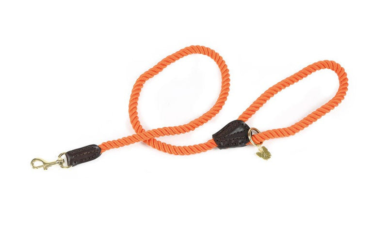 Load image into Gallery viewer, Digby &amp; Fox Rope Dog Lead

