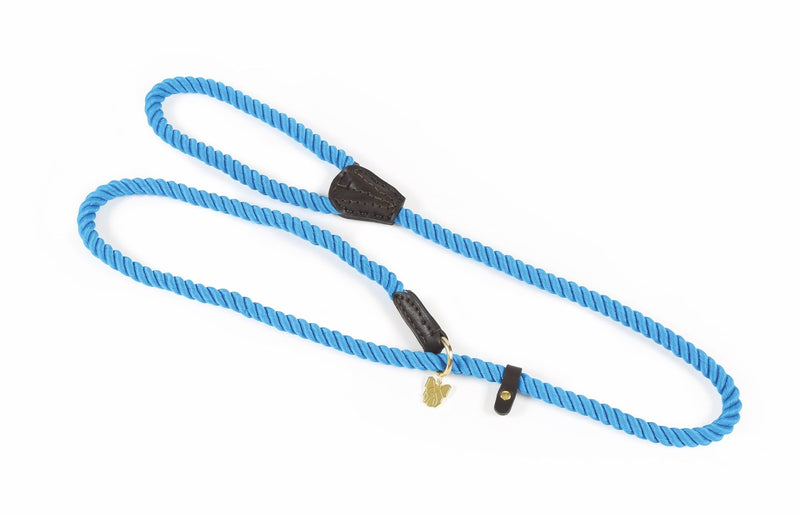 Load image into Gallery viewer, Digby &amp; Fox Rope Slip Dog Lead
