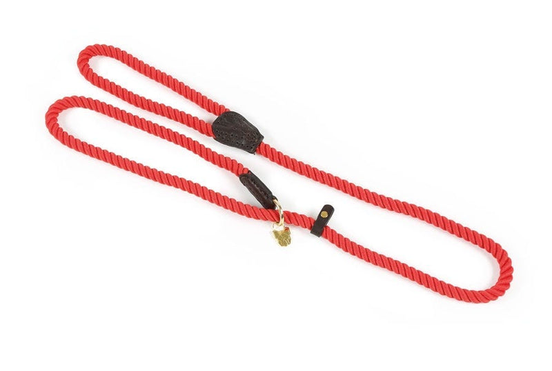 Load image into Gallery viewer, Digby &amp; Fox Rope Slip Dog Lead
