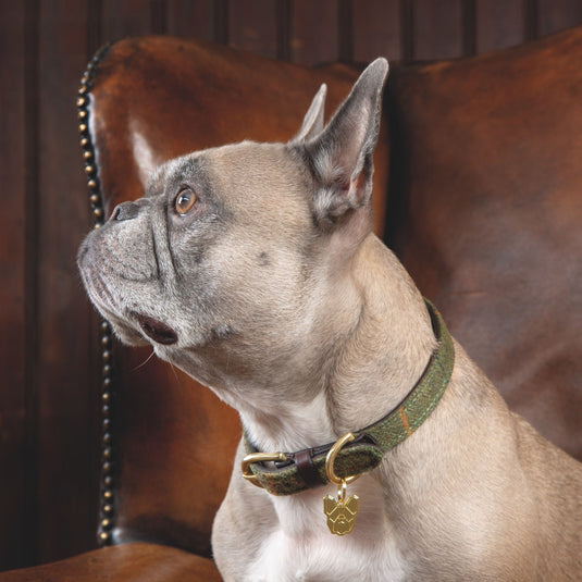 Digby & Fox Tweed Dog Collar