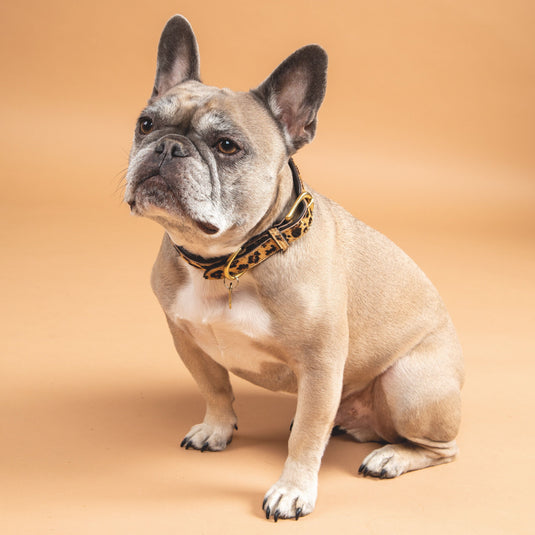 Digby & Fox Cow Hair Dog Collar