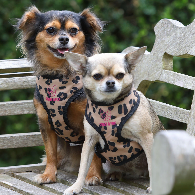 Load image into Gallery viewer, Digby &amp; Fox Leopard Print Harness

