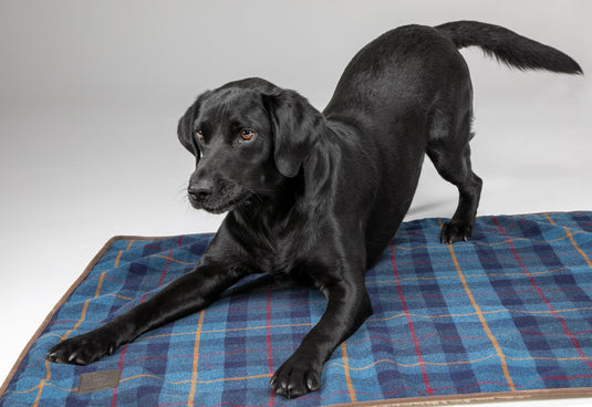 Digby & Fox Tweed Blanket