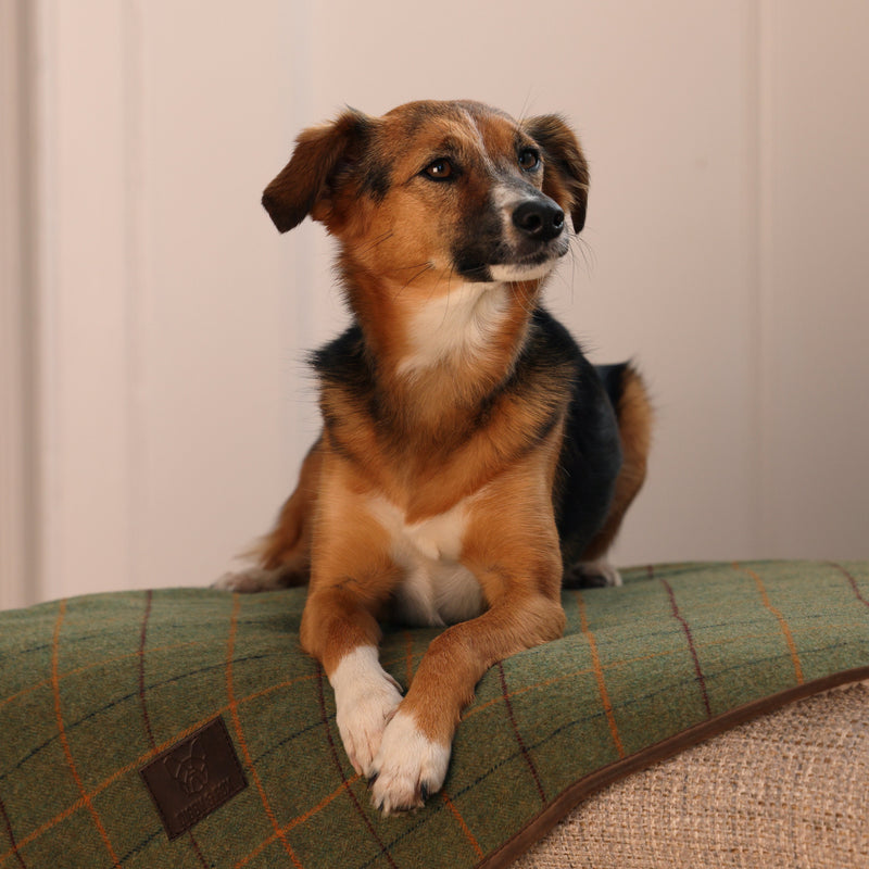 Load image into Gallery viewer, Digby &amp; Fox Tweed Blanket
