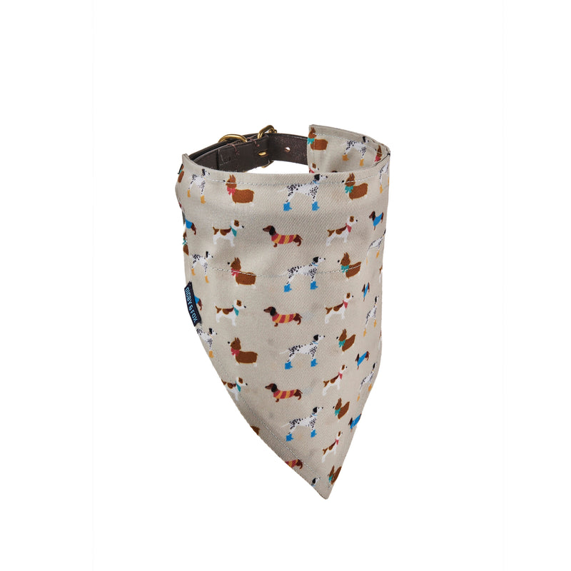 Load image into Gallery viewer, Digby &amp; Fox Bandana
