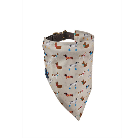 Digby & Fox Bandana