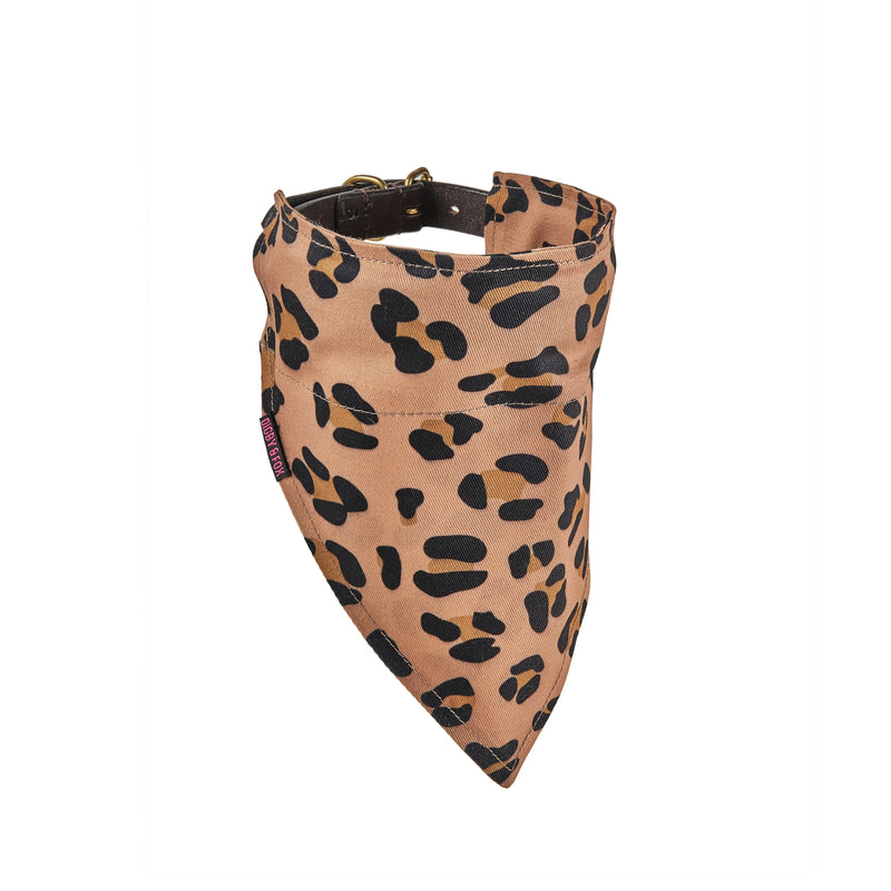 Load image into Gallery viewer, Digby &amp; Fox Bandana
