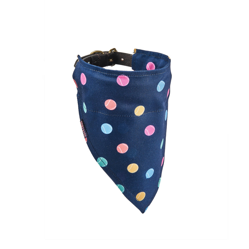 Load image into Gallery viewer, Digby &amp; Fox Bandana
