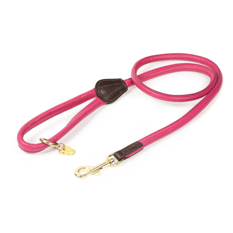 Load image into Gallery viewer, Digby &amp; Fox Rolled Leather Dog Lead
