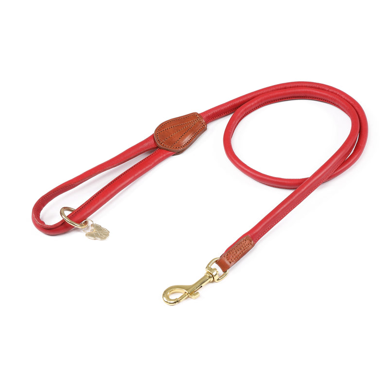 Load image into Gallery viewer, Digby &amp; Fox Rolled Leather Dog Lead
