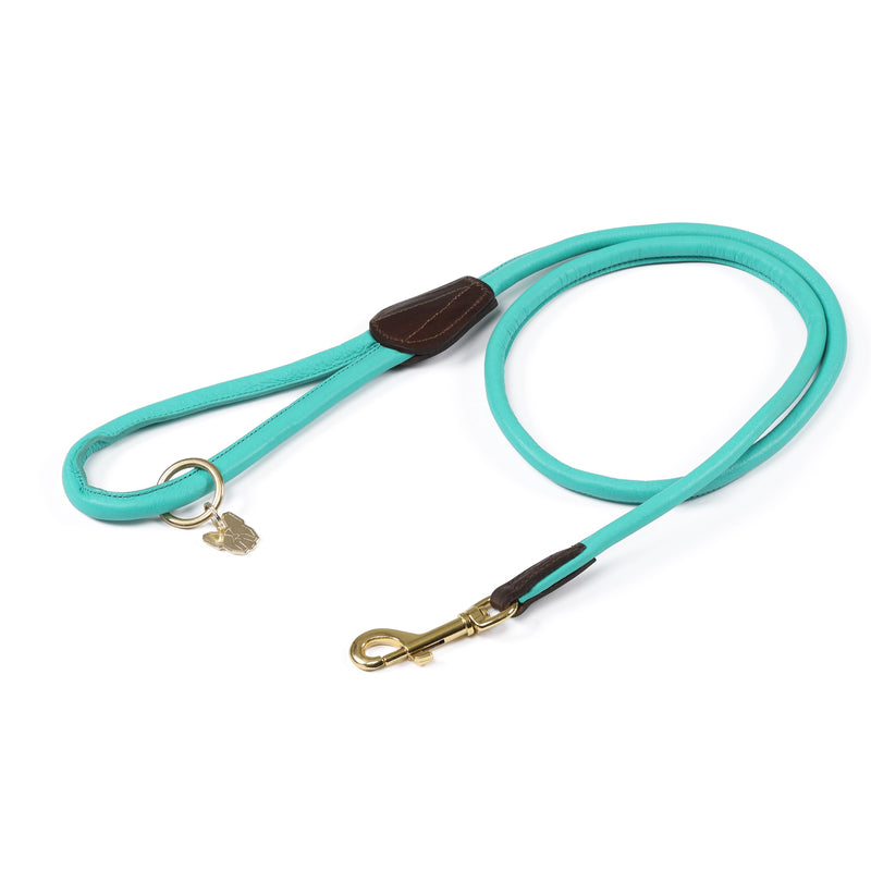 Load image into Gallery viewer, Digby &amp; Fox Rolled Leather Dog Lead
